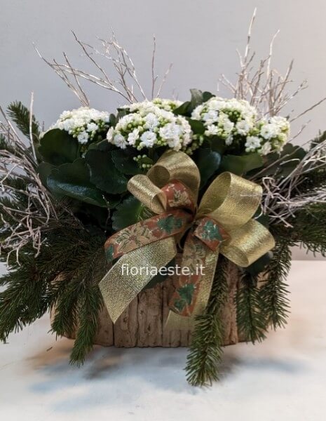 Kalancola grande con cesto