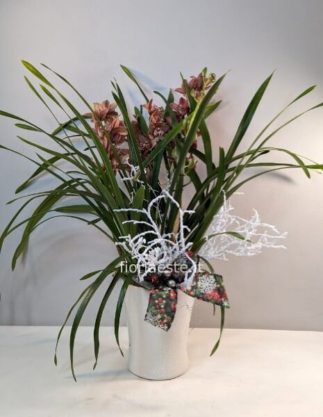 Cymbidium grande con vaso ceramica