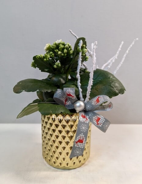 Kalancola piccola con vaso ceramica