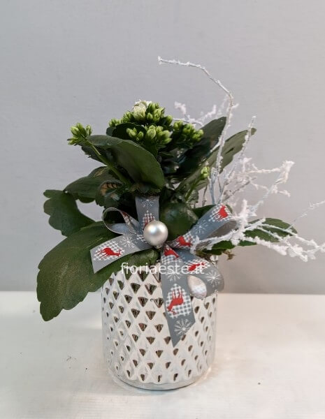 Kalancola piccola con vaso ceramica